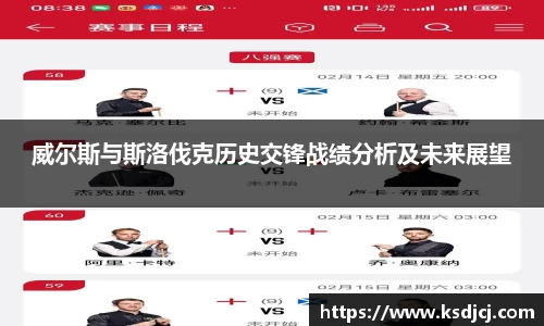 威尔斯与斯洛伐克历史交锋战绩分析及未来展望